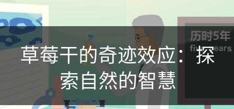 草莓干的奇迹效应：探索自然的智慧